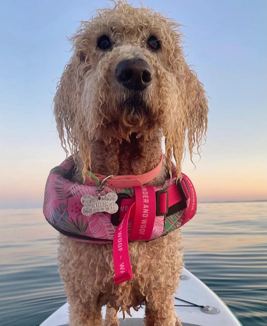 Dollys Paradise Dog Float by Wander and Woof