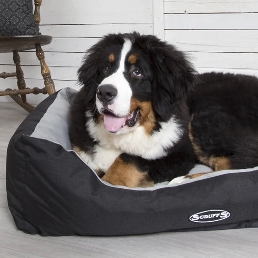 Expedition Box Dog Bed (in Chocolate Brown, Graphite Grey & Plum) by Scruffs