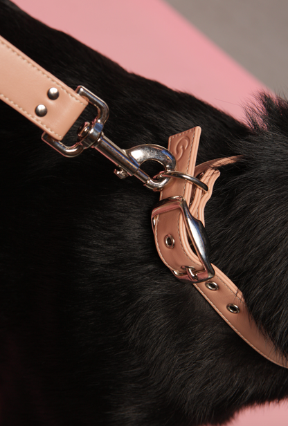 Blush pink vegan apple leather dog collar