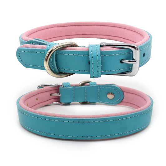 Aqua Dog Collar - by Doggy Doo Little